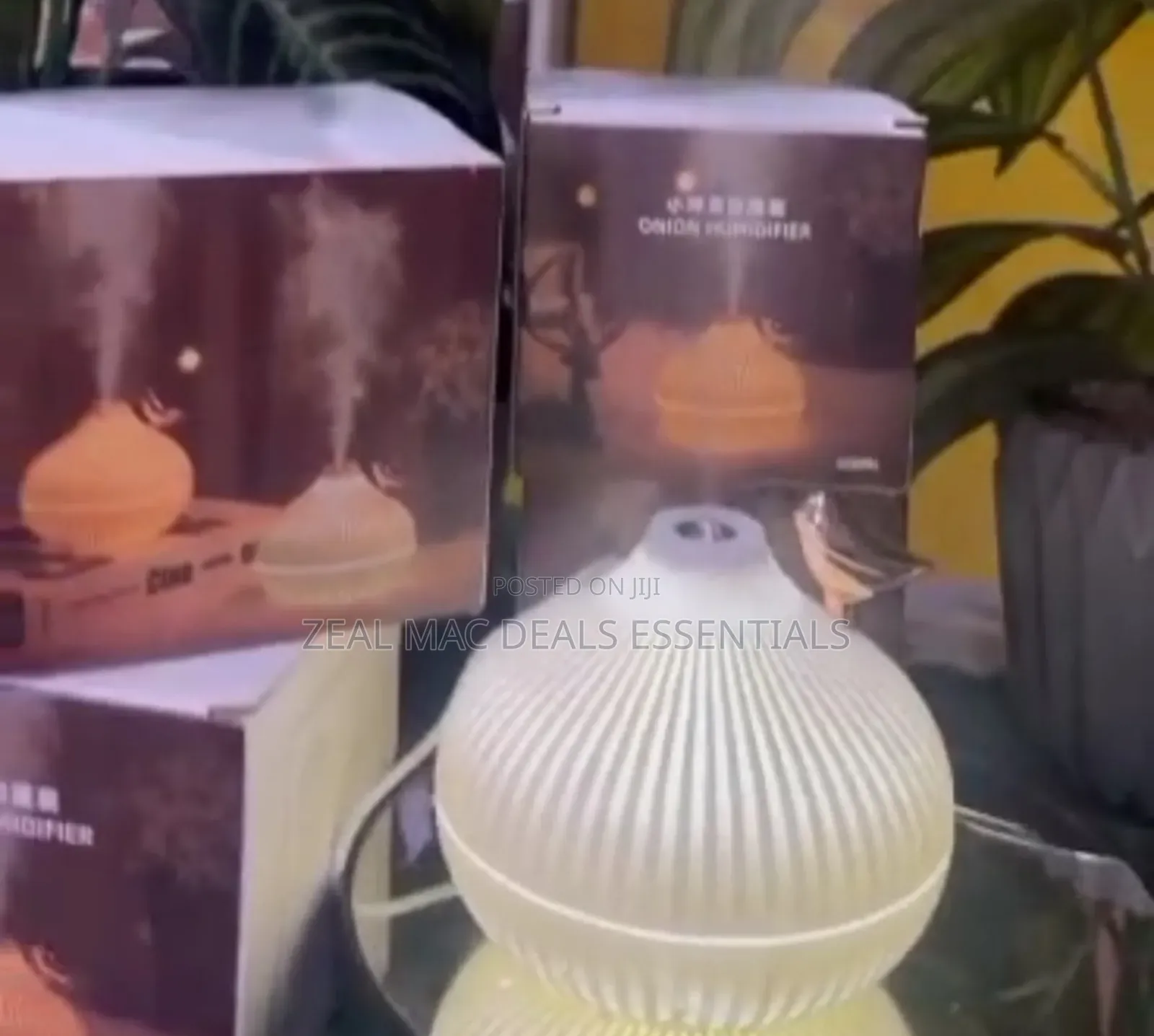 Onion Shape Humidifier