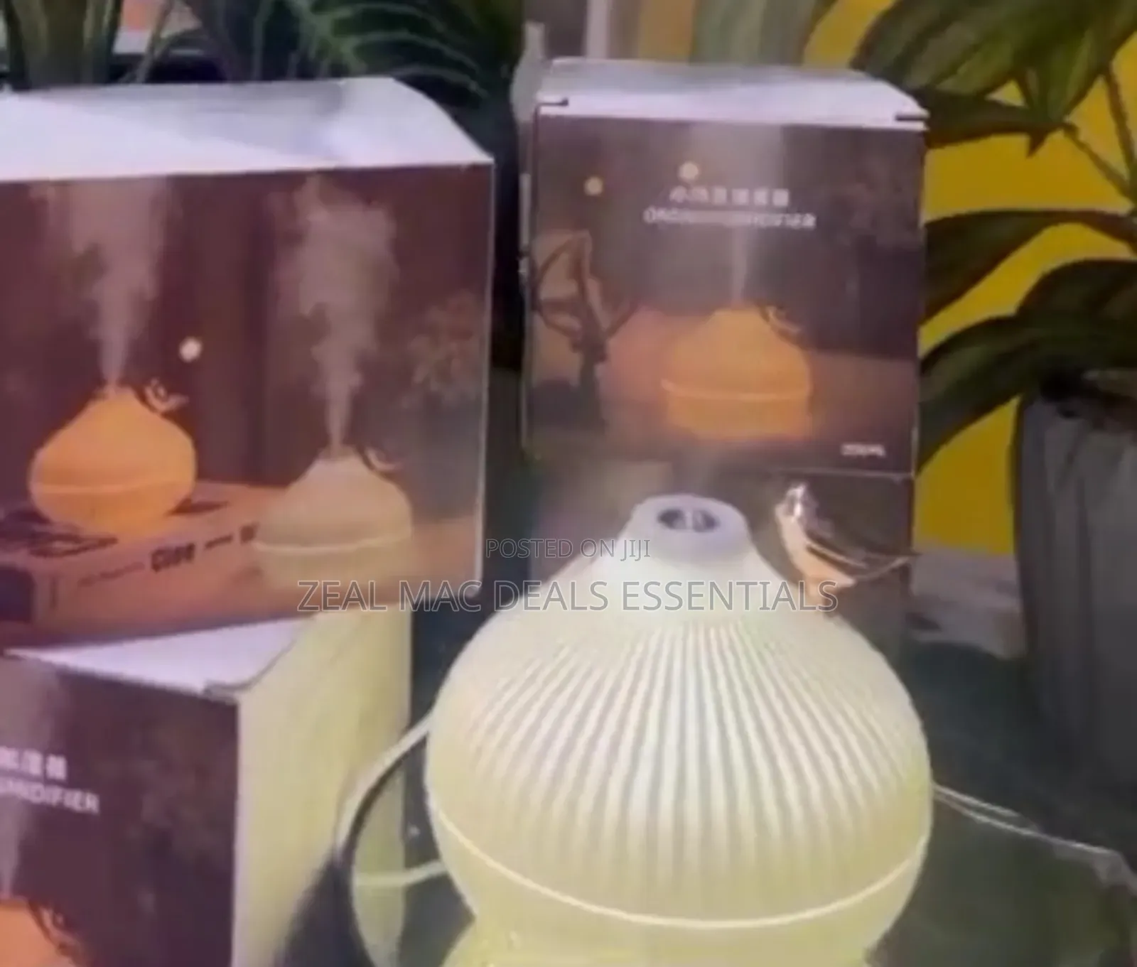 Onion Shape Humidifier
