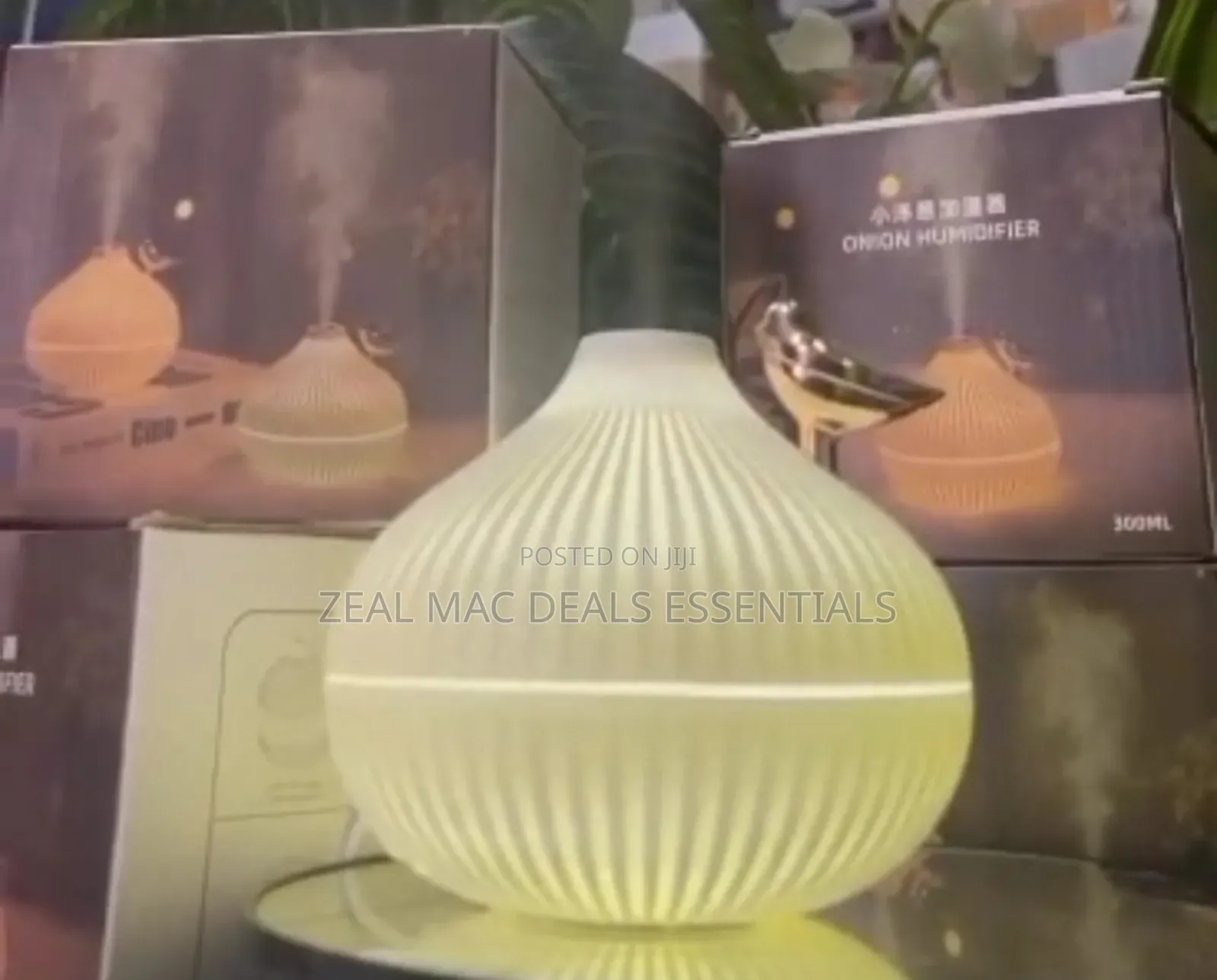 Onion Shape Humidifier