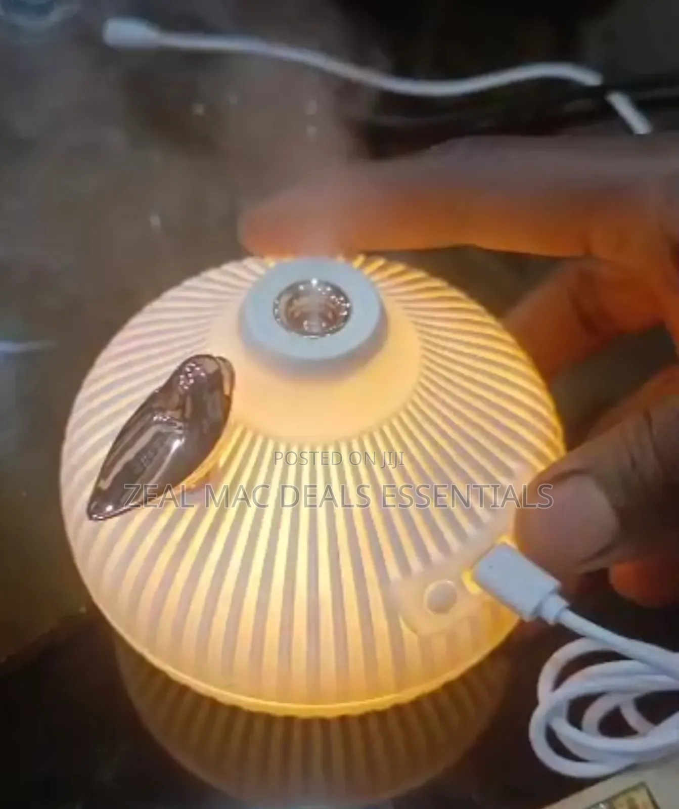Onion Shape Humidifier