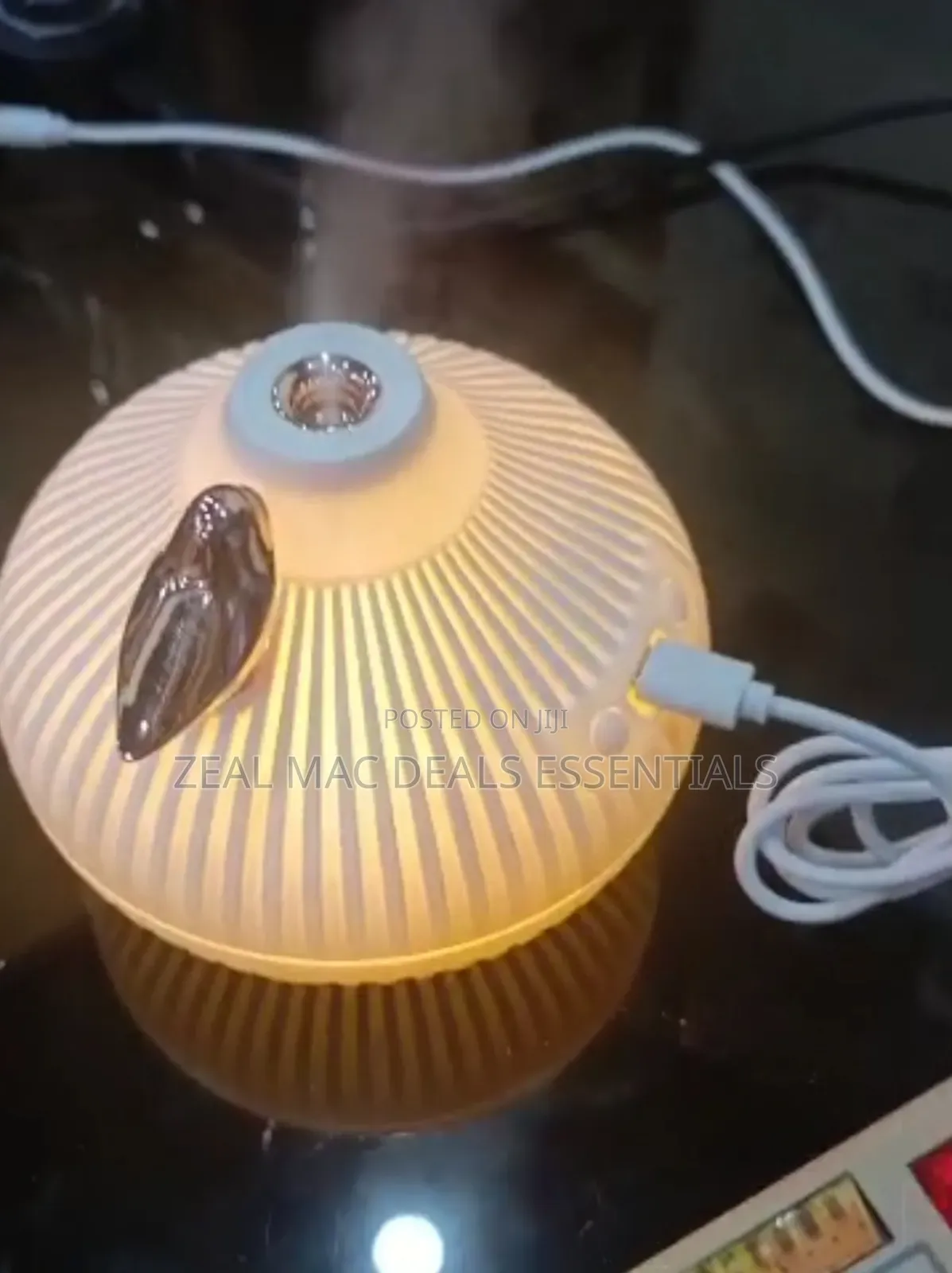 Onion Shape Humidifier