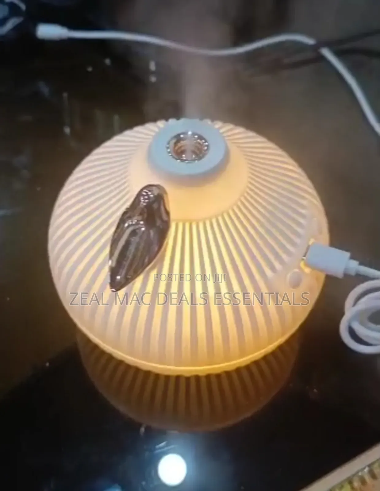 Onion Shape Humidifier