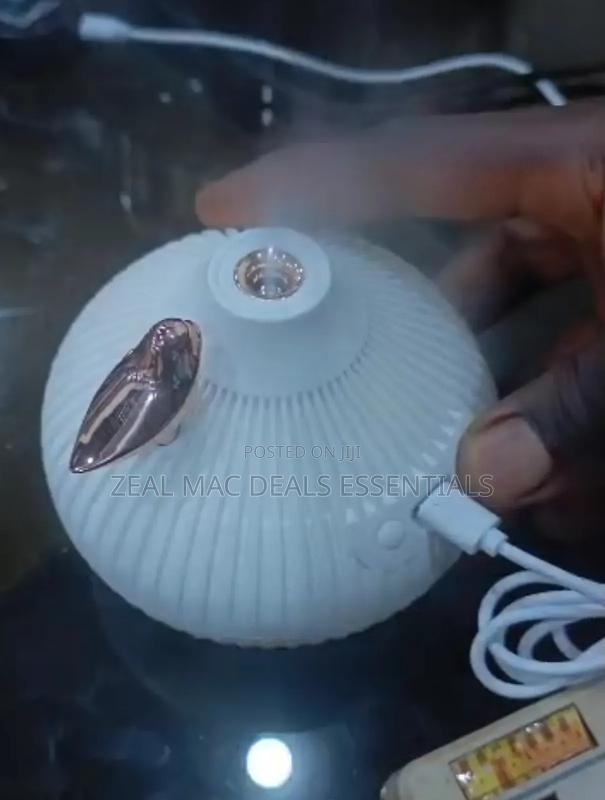 Onion Shape Humidifier