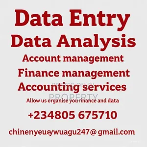 Data Entry/ Data Analysis/Accounting Services