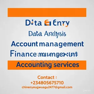Data Entry/ Data Analysis/Accounting Services