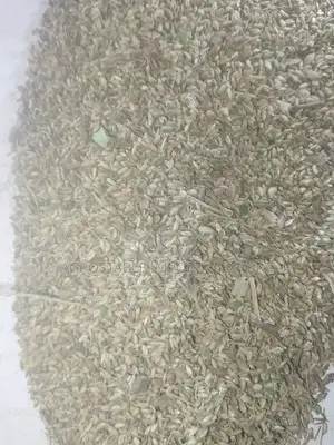 Mombasa Grass Seed Per Kg