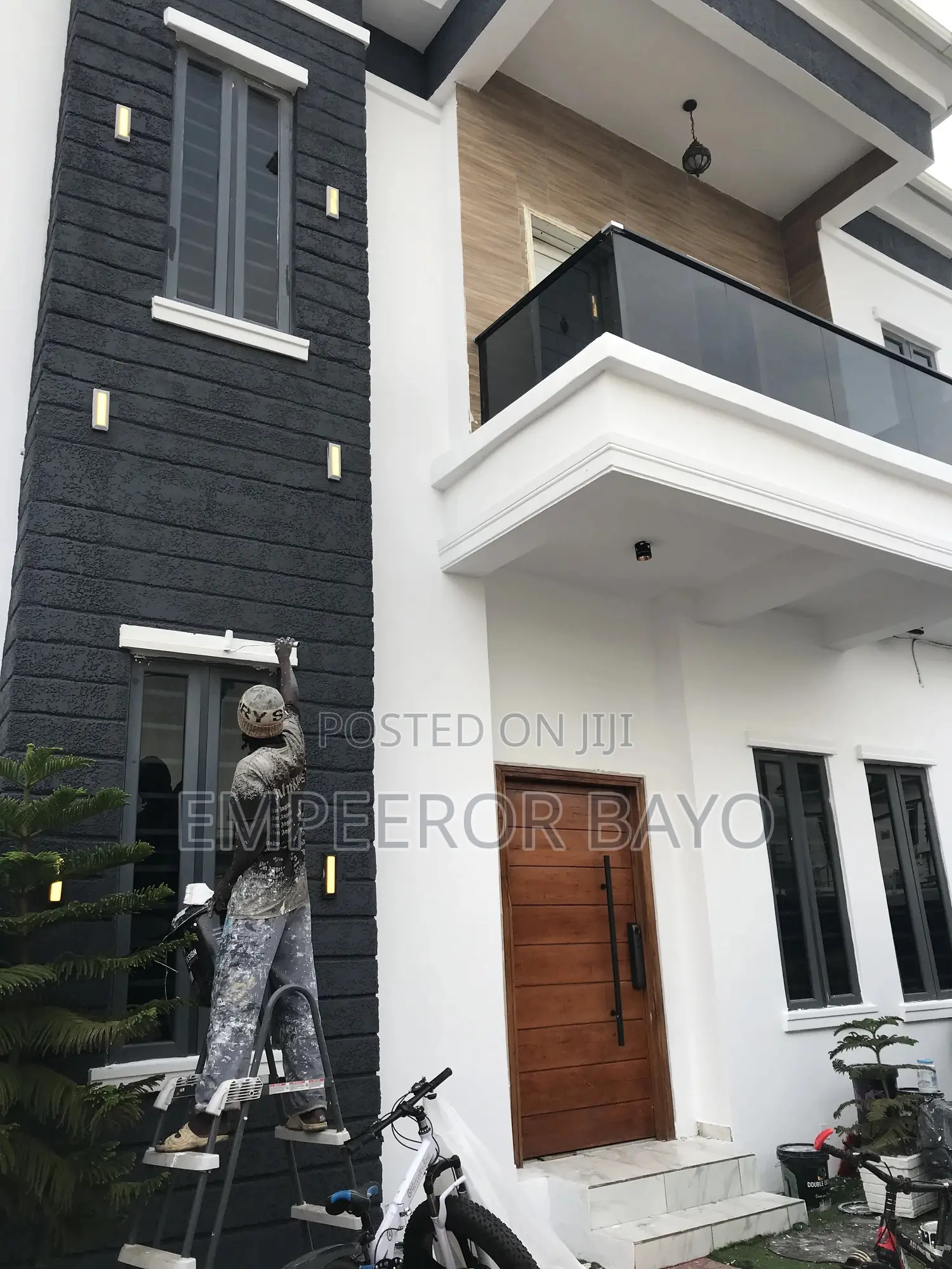Professional Painter and Interiors