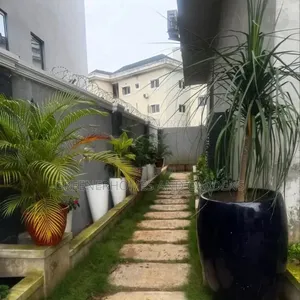Outdoor Plant Beautification