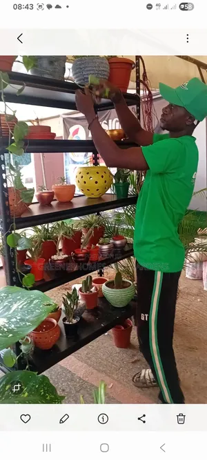 Mini Clay Pots