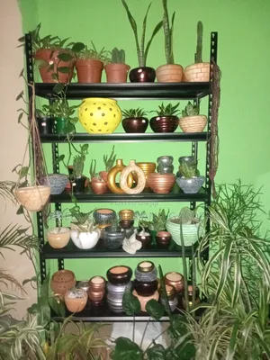 Mini Clay Pots