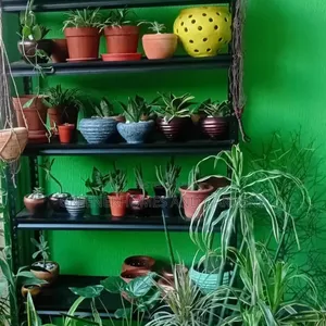 Mini Clay Pots