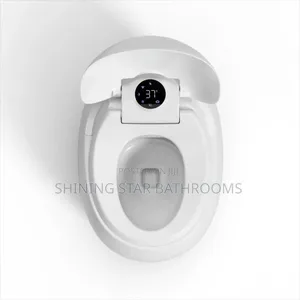 Smart Intelligent Egg Luxury Toilet Set