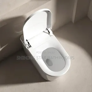 Smart Intelligent Toilet Set