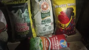 Treated Coconut Fiber