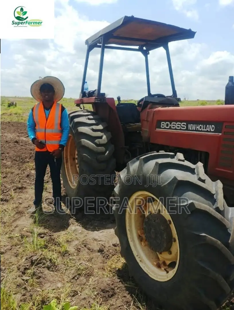 Land Clearing