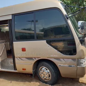 Toyota Coaster 2013 Brown