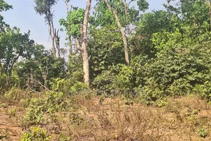 Guzape Bala Residential Plot for Distress Sale