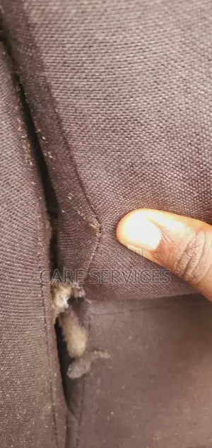 Complete Bedbug Removal Service in Lagos