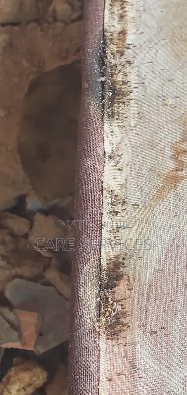 Reliable Bedbug Removal in Lagos