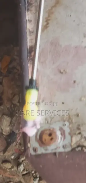 Reliable Bedbug Removal in Lagos