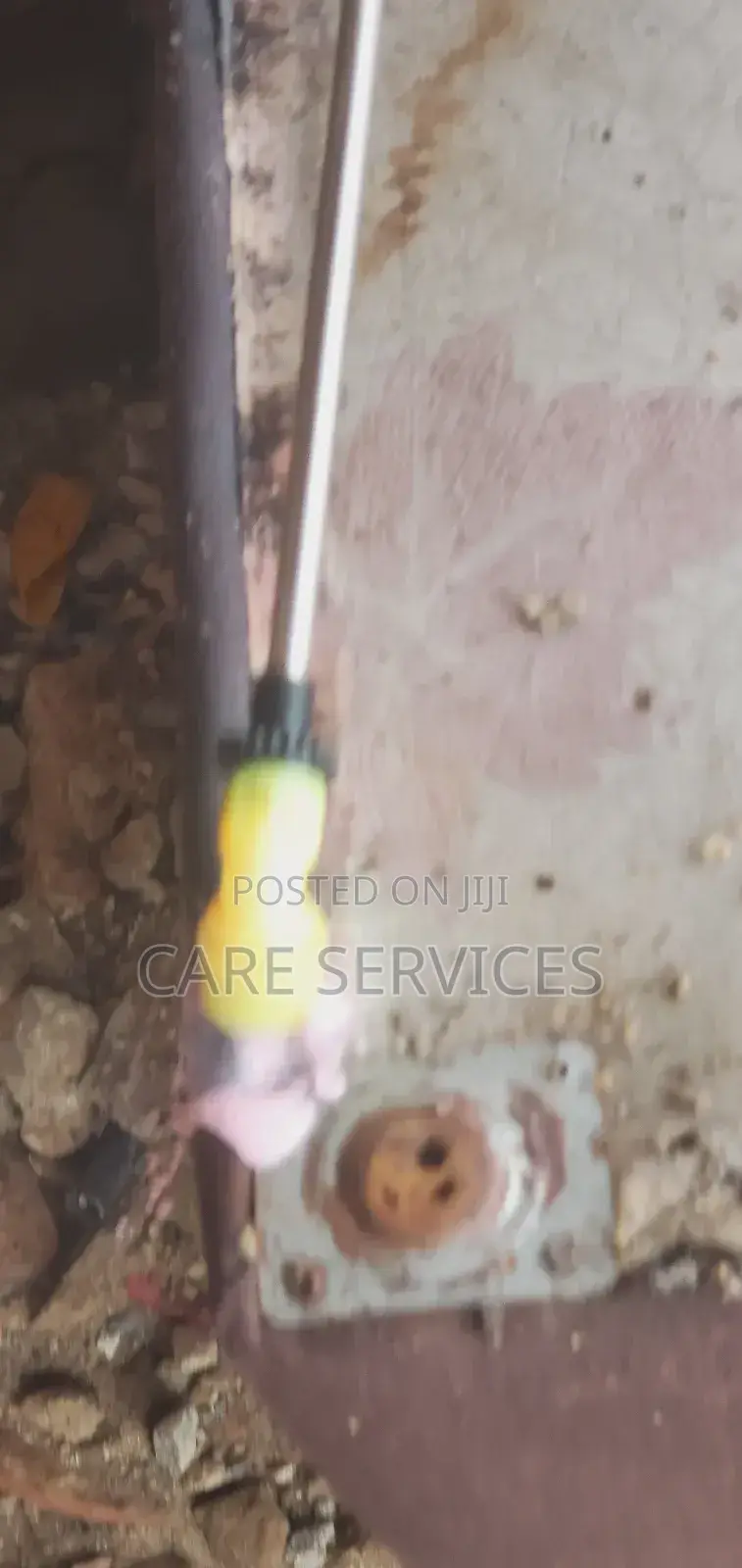 Reliable Bedbug Removal in Lagos