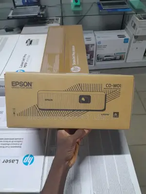 Epson Co-W01 Multimedia Projector