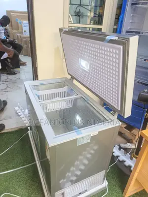 Snowsea Bd-308g 220l Freezer for Food Storage