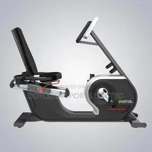 Recumbent Bike (Dhz Brand) - Classy and Quality
