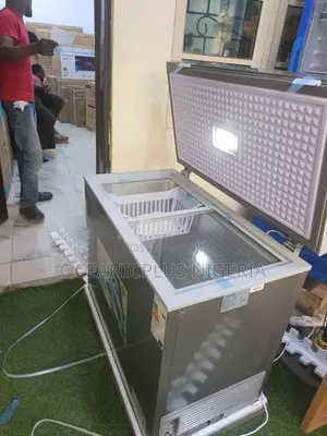 Snowsea Bd-308g Freezer for Home or Shop (220l)