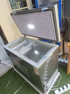 Snowsea Bd-308g 220l Freezer With Temperature Control