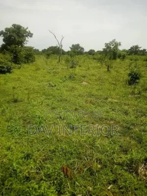 70 Acres of Land for Sale