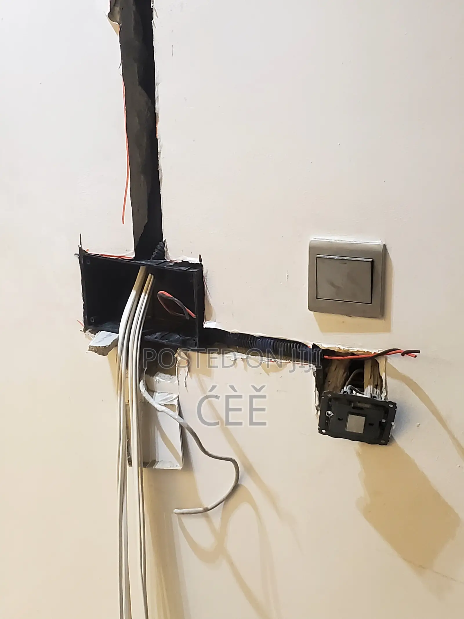 Electrician/Technician