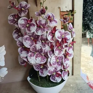 All Kids Plastic Plant