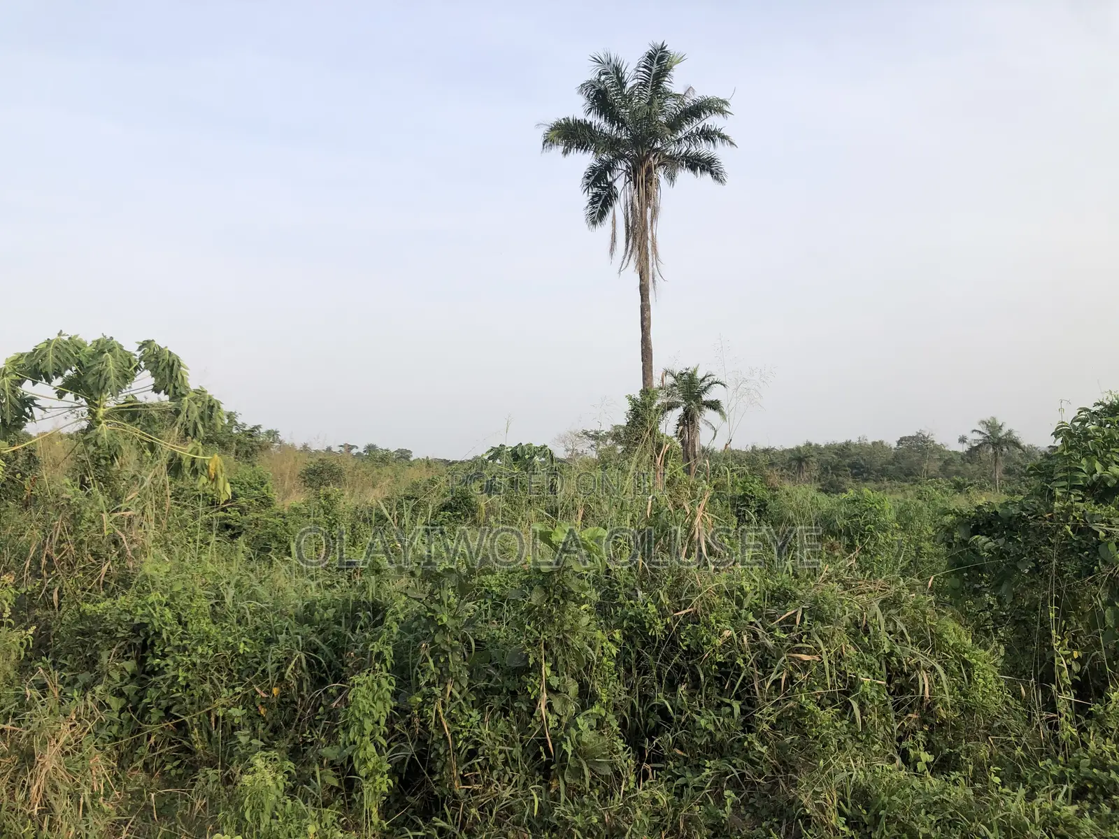 Farm With Ease In Ogun State, Nigeria