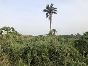 Farm With Ease In Ogun State, Nigeria