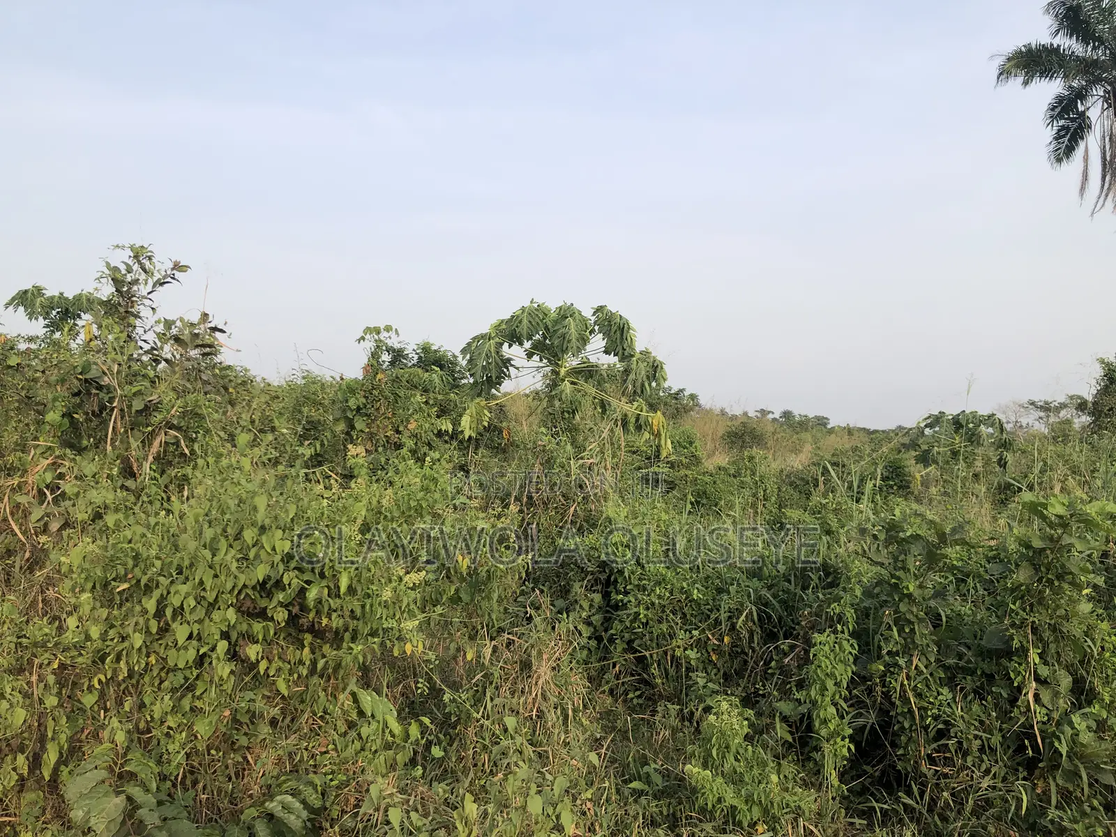 Farm With Ease In Ogun State, Nigeria