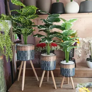 3 Set Stick Vase Available