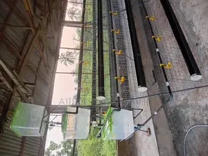 Battery Cage