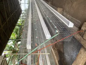 Battery Cage