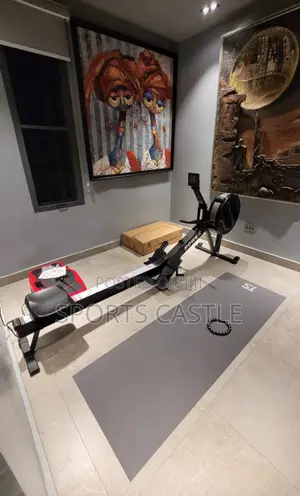 Commercial Rower Machine