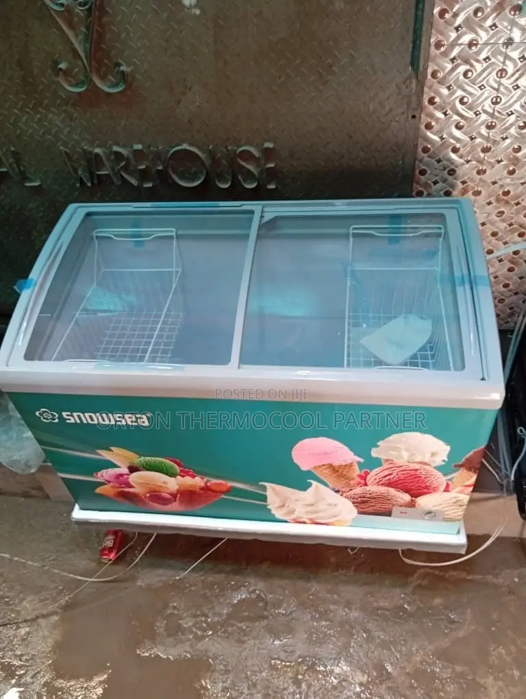 Snowsea Freezer Different Sizes