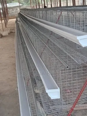 Exclusive Cages