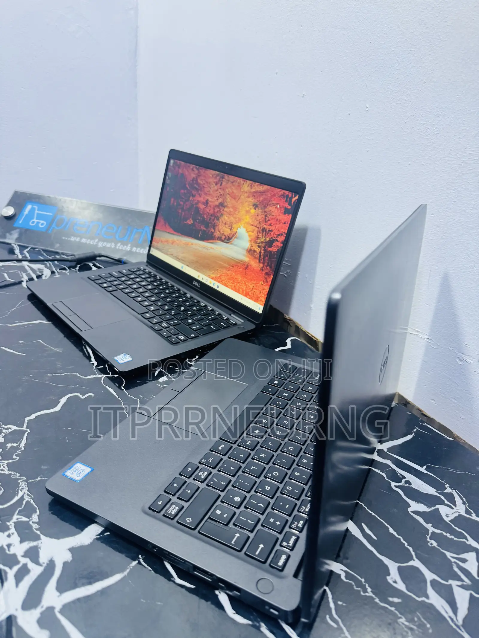Laptop Dell Latitude 5300 8GB Intel Core I5 SSD 256GB