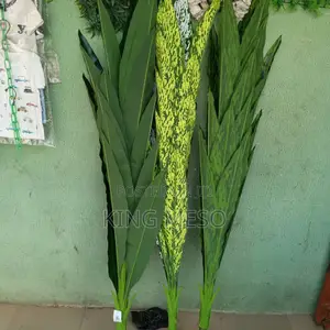Plant Available as Seen