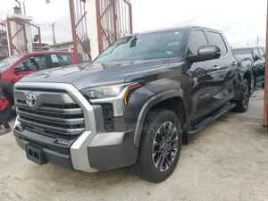 Toyota Tundra 2024 Gray