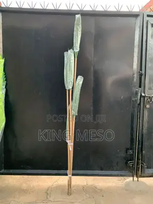 Plant Tree Available as Seen