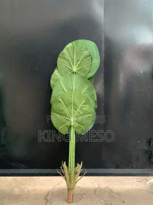 Green Plant Available as Seen