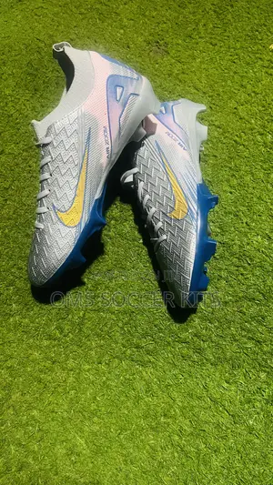 Nike Mercuriql Air Zoom Silver (40)