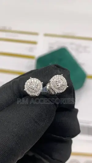 Vvs Mossanite 925 Silver Earrings.