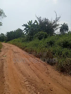 500acres of Farmland at Igisidi/Apomun
